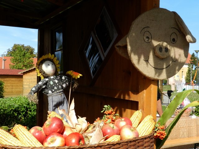 Megyei Közfoglalkoztatási Kiállítás 118